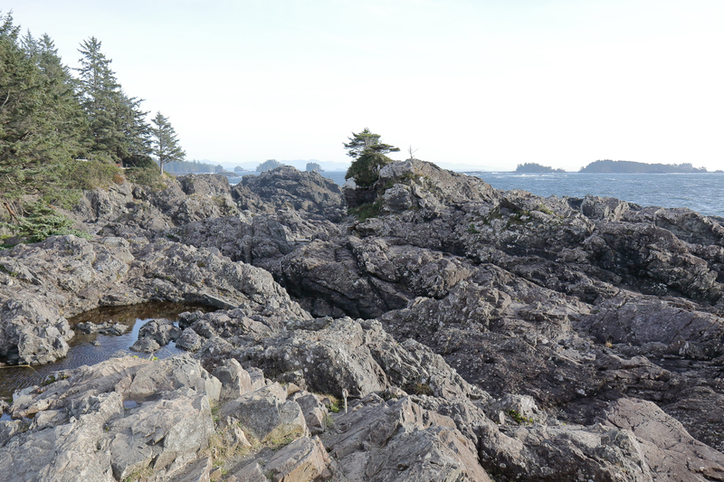 Illustration for article titled Trip Recap: 2017-12-09 on the Pacific Rim Highway to the Wild Pacific Trail